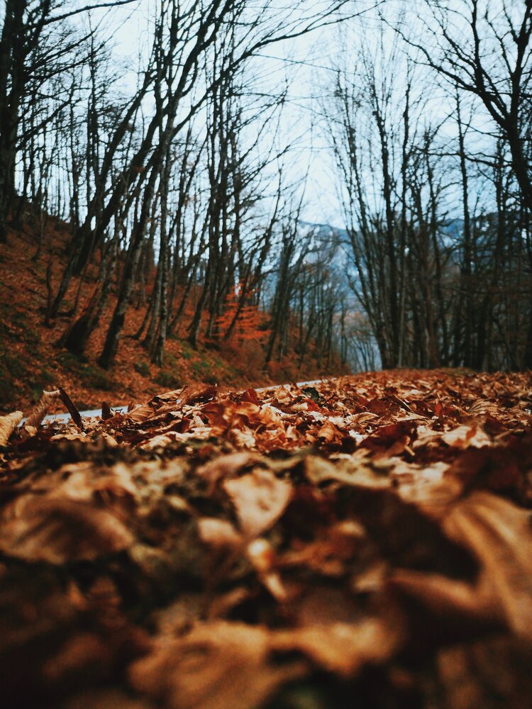 Photograph by Кристина