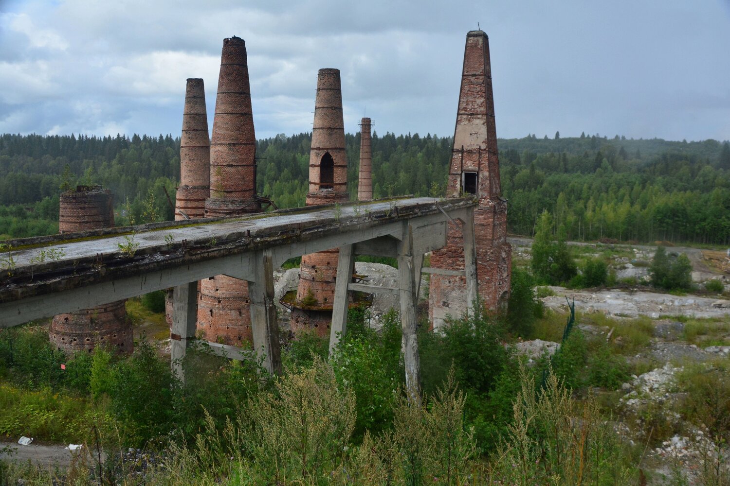 Photo #14099880