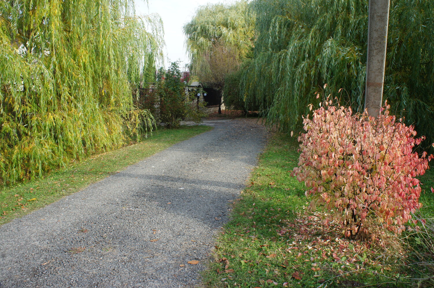 Photo #14099902