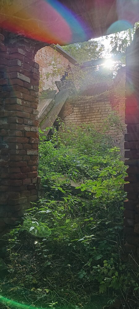 Photograph by Юлия Творогова