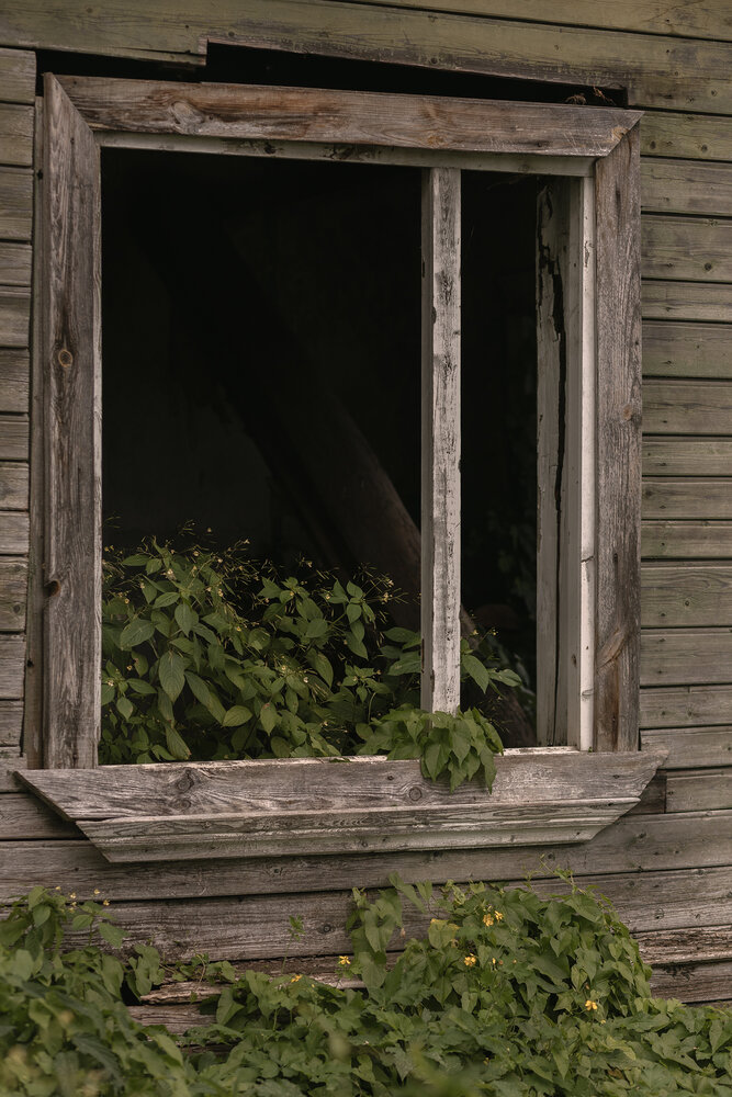 Photograph by Людмила Иевлева