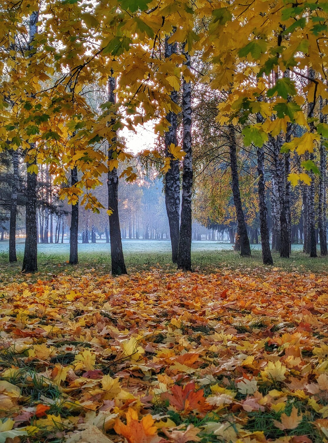 Photo #14099968
