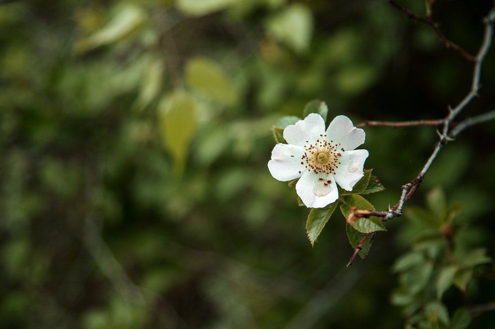 Photograph by Марина