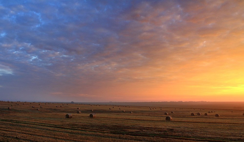 Утро осеннее