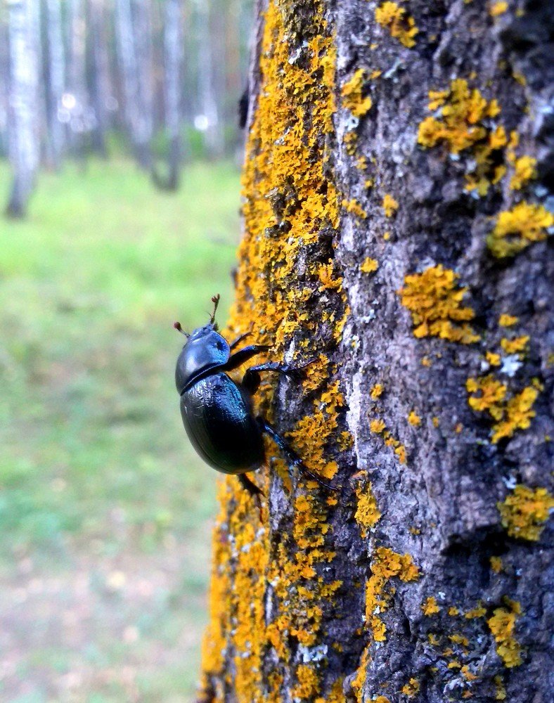 Взгляд за горизонт