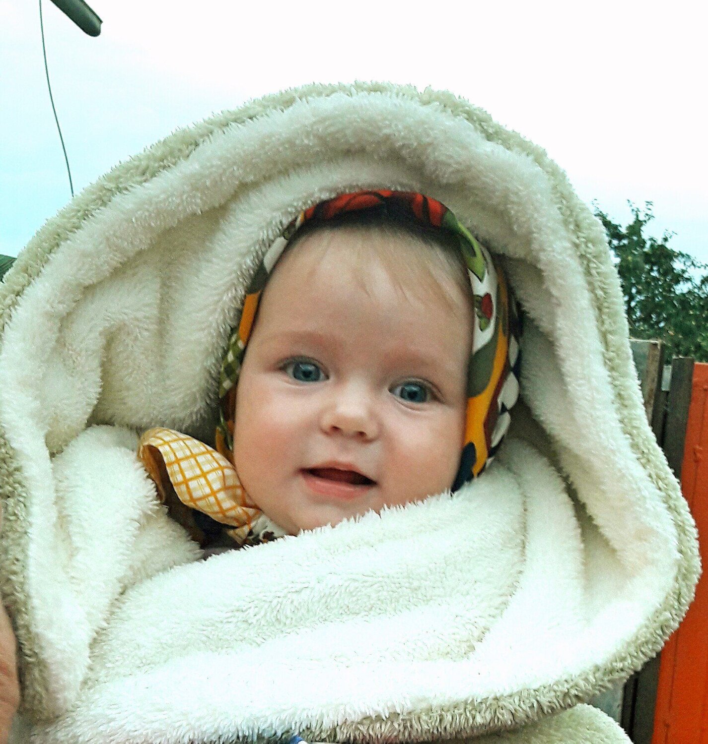 Photo #1411123