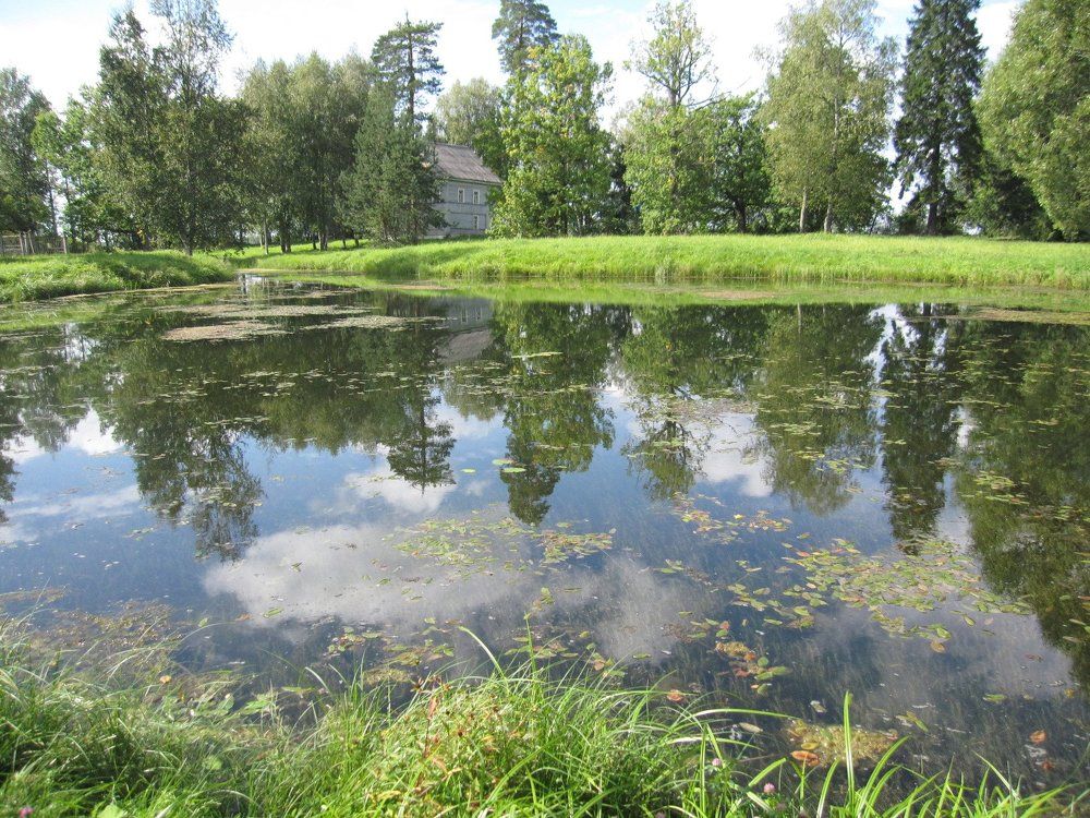 В усадьбе А. В. Суворова (Новгородская область)
