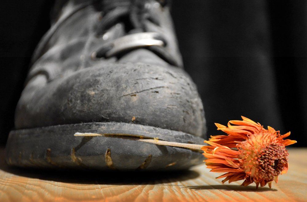 Возвращение