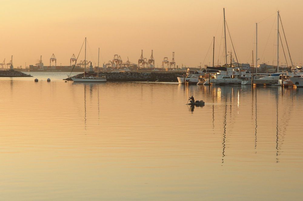 A Raft Among the Yachts