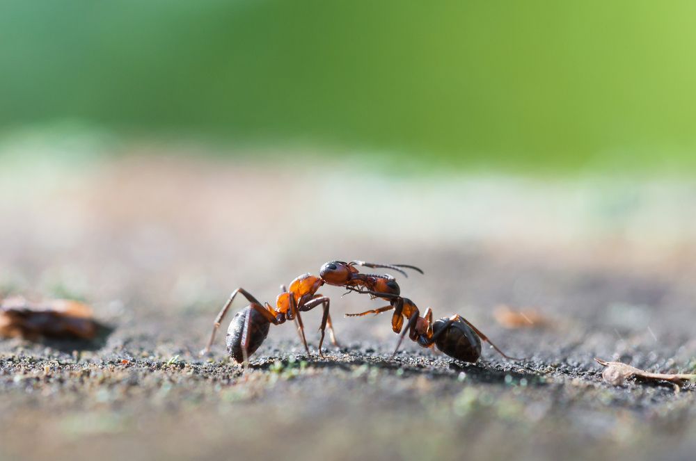 Photograph by Филиппов Алексей