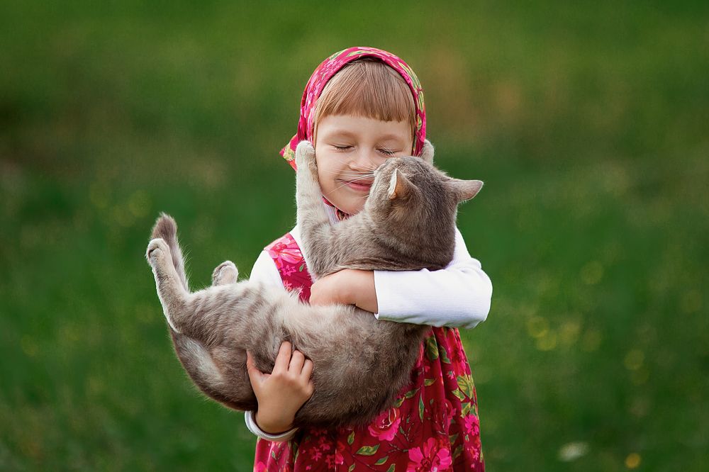 Кошачьи нежности