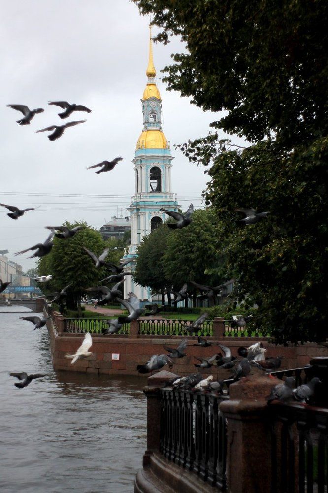 Прогулки по городу.