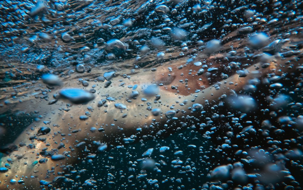 Зарождение