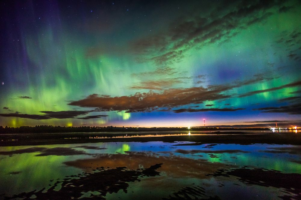 Печора изумрудная