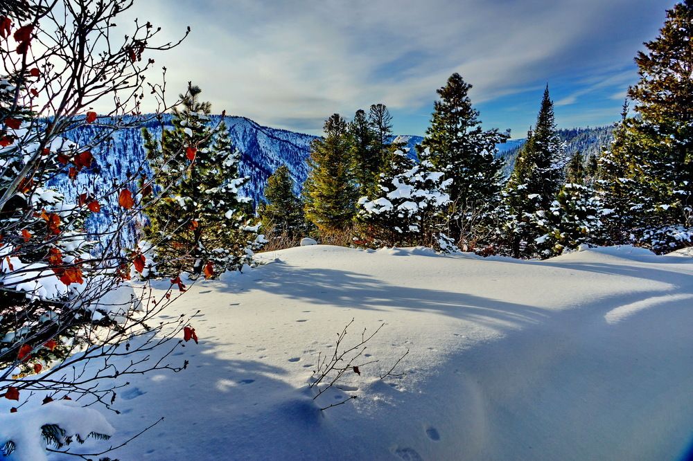 в горах хамардабана