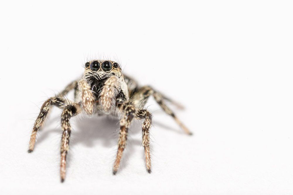 Photograph by Карина Воробьева