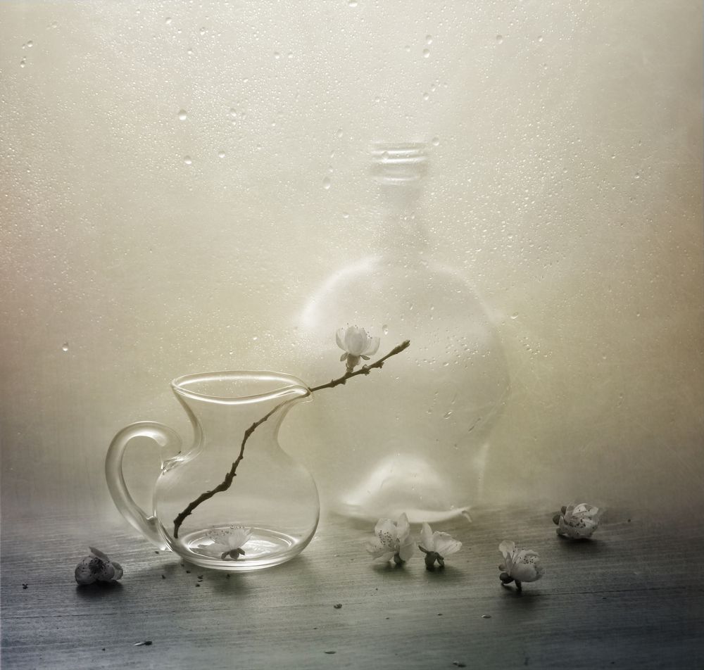 Фотография автора Елена