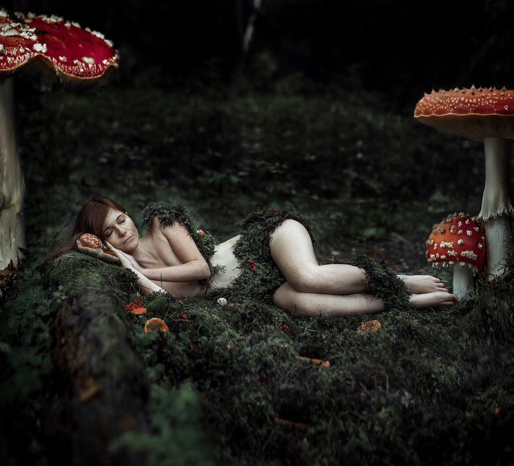 Photograph by Мельникова Настя