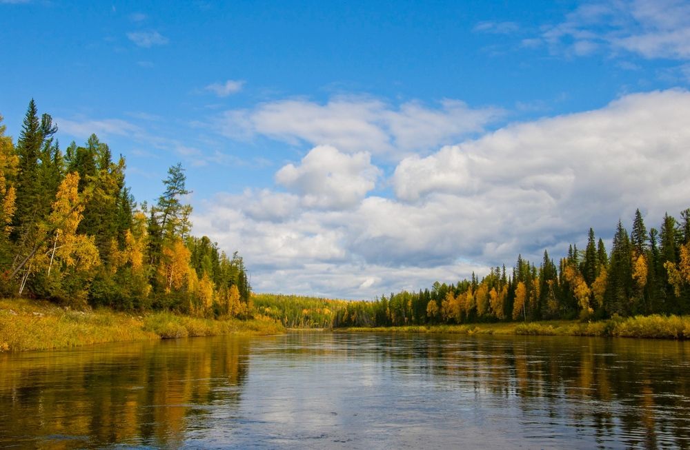 Осень на реке
