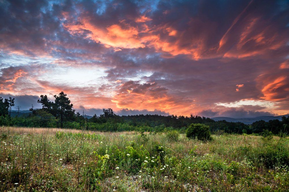 Утро в предгорье