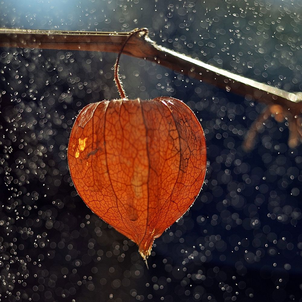 Сказочный фонарик