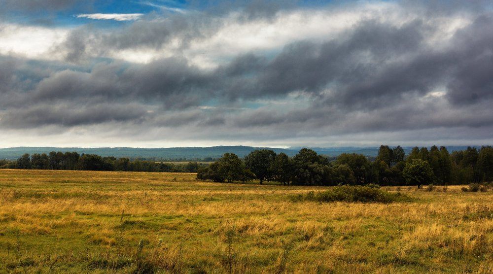 Перед дождём