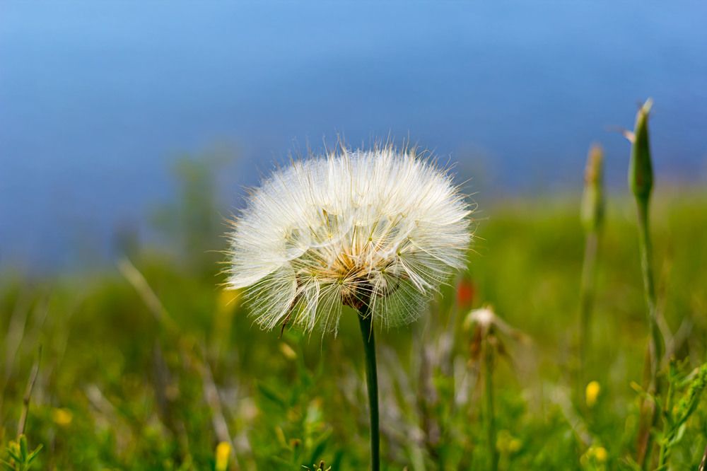 На фоне моря