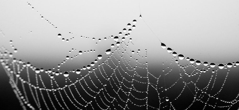 тумана ноты