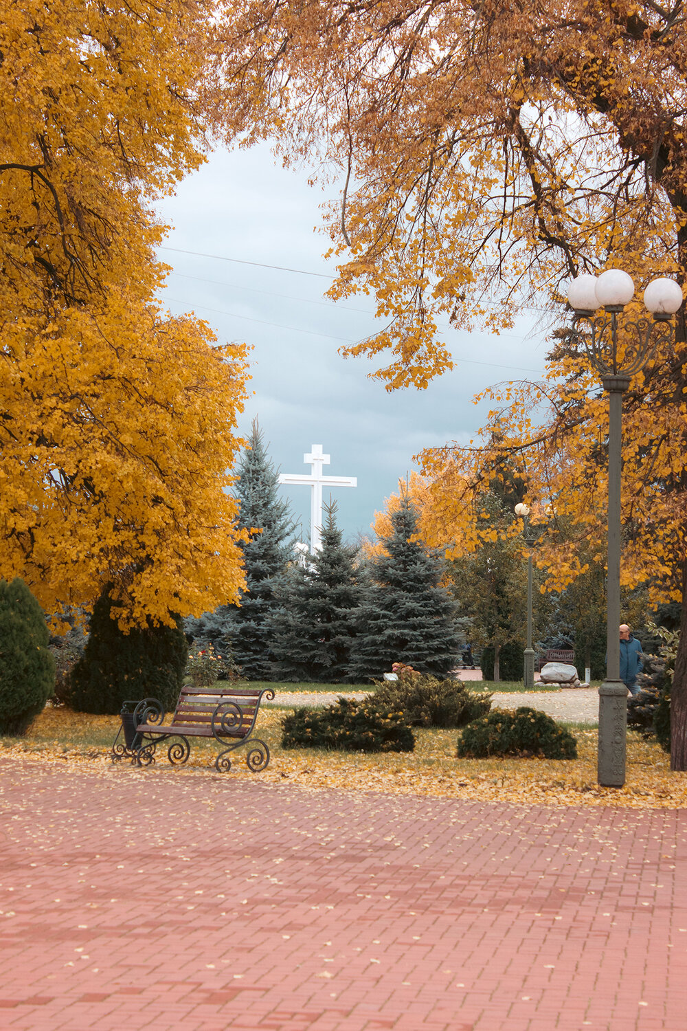 Photo #14100024
