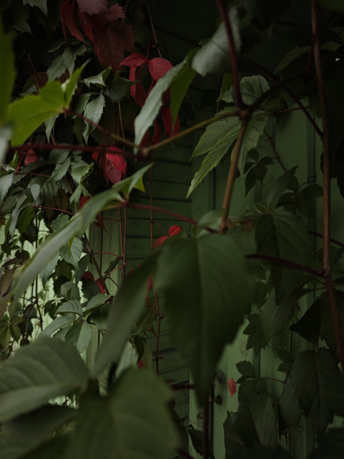 Photo #14100107
