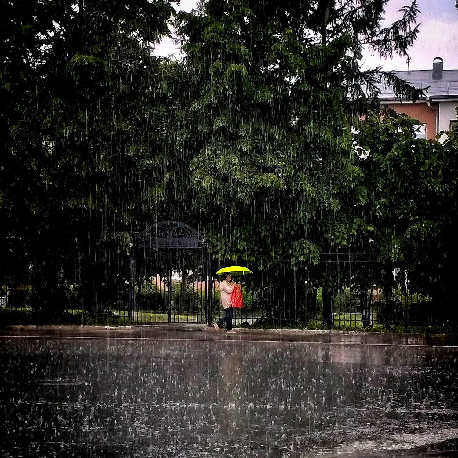 Photo #14100147