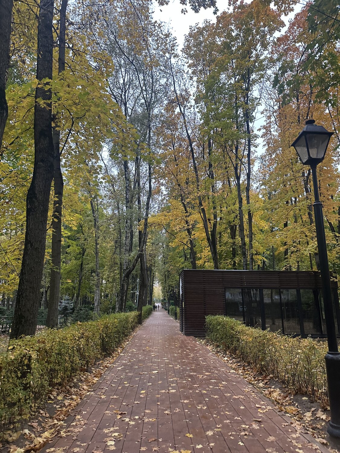 Photo #14100232