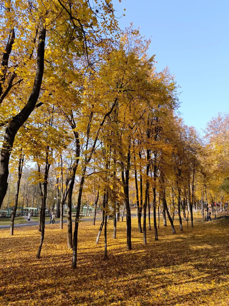 Photo #14100253