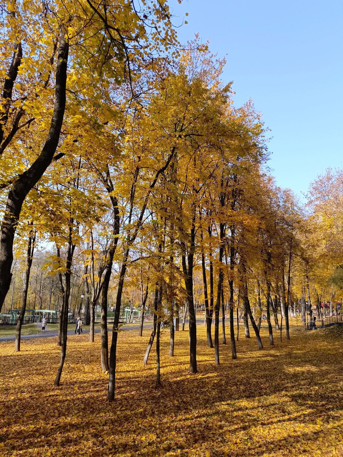 Photo #14100253