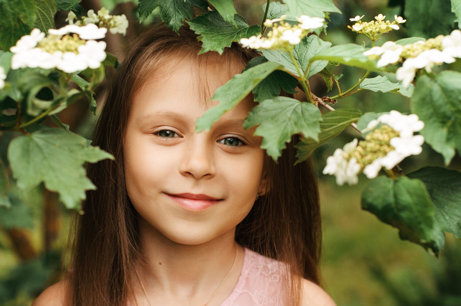 Photo #14100299