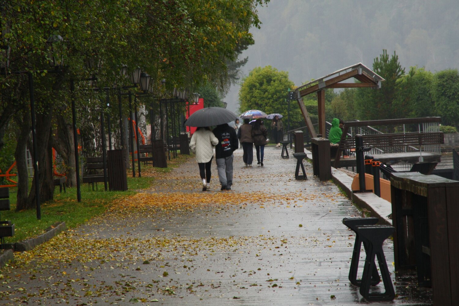 Photo #14100330
