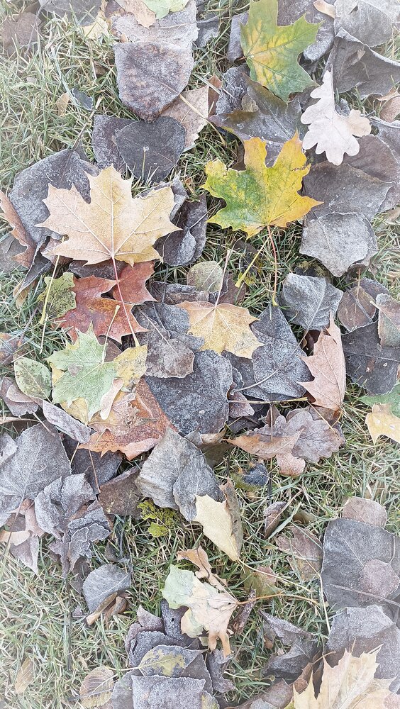 Photo #14100345
