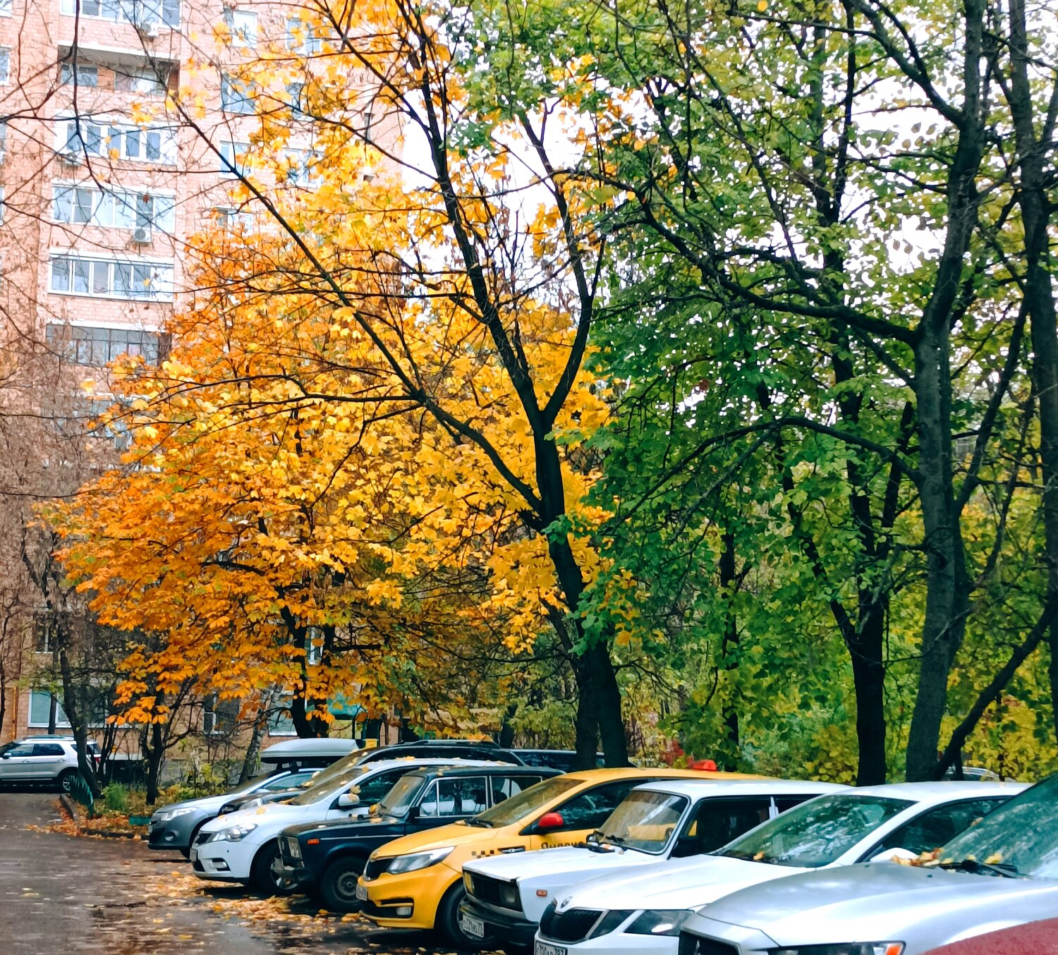 Photo #14100346