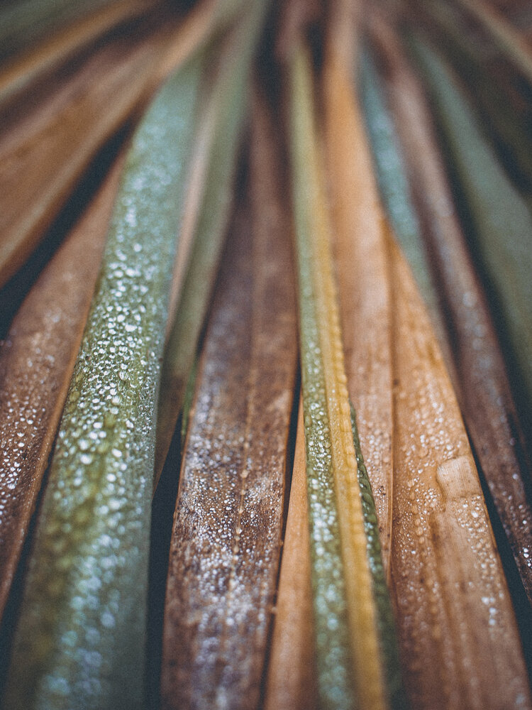 Photo #14100403