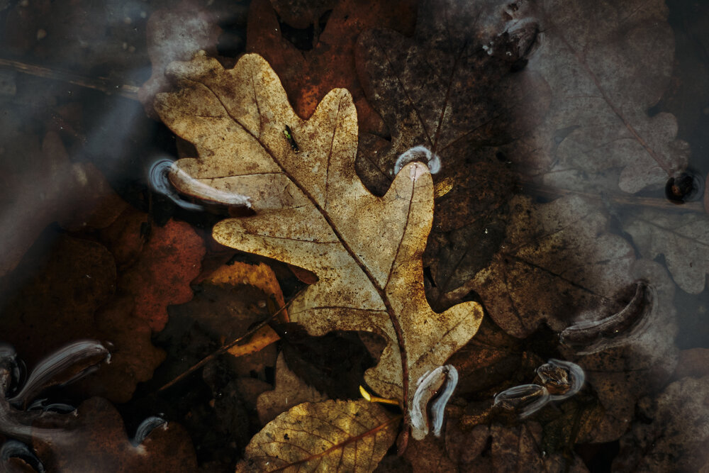 Photograph by Даниил Богомолов