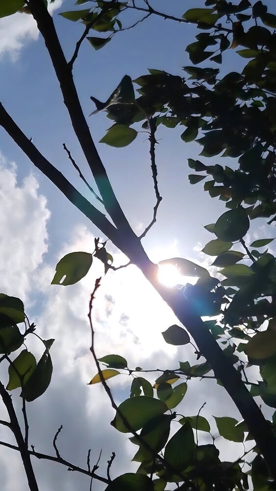 Where Autumn Holds a Pearl
