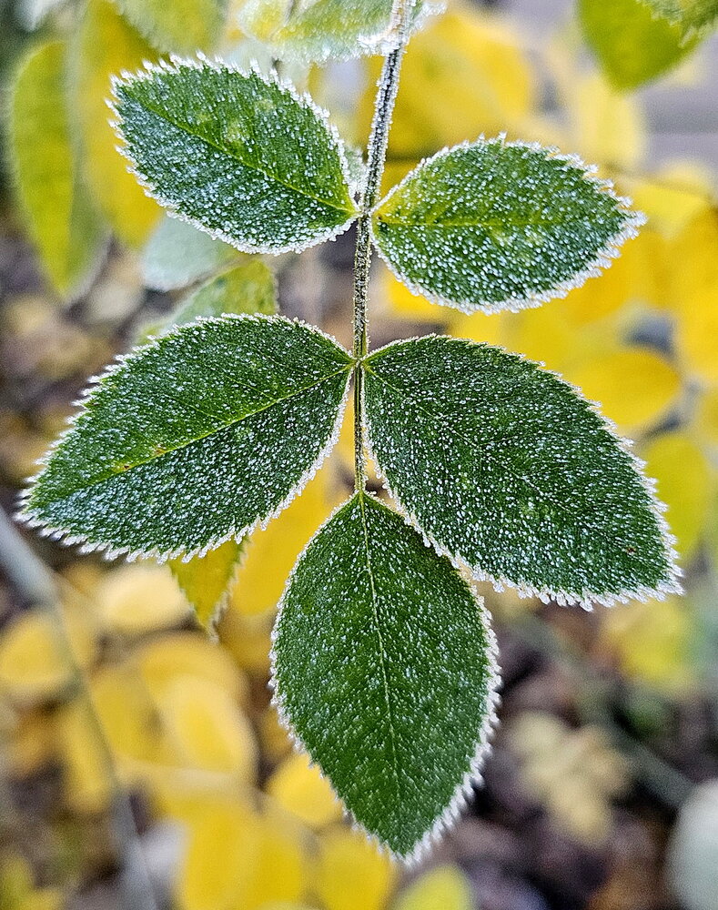 Photograph by Михаил Свиденцов
