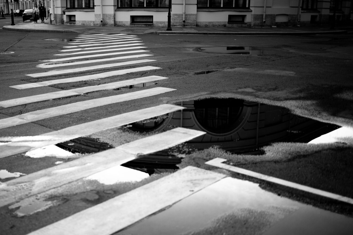Photo #14100542