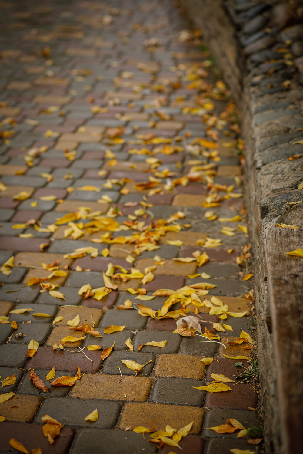 Photo #14100543