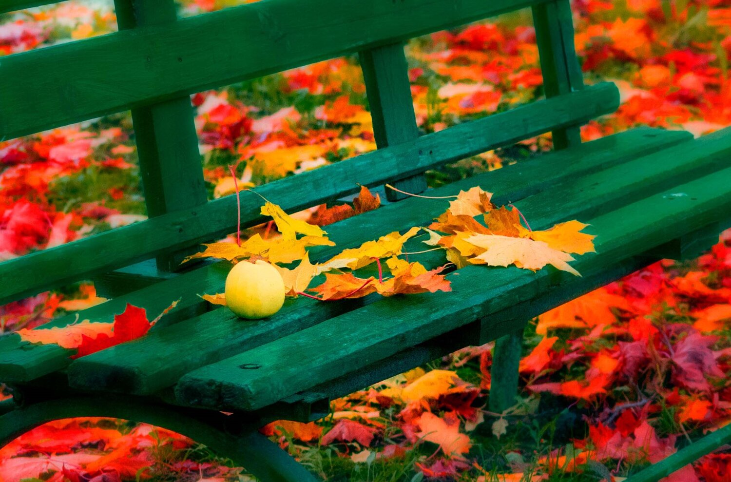 Photo #14100555