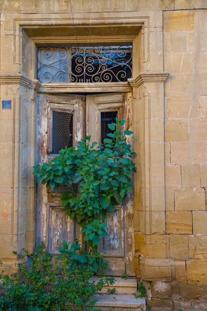 Photograph by Costas P