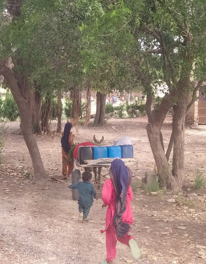 Following Mother Home