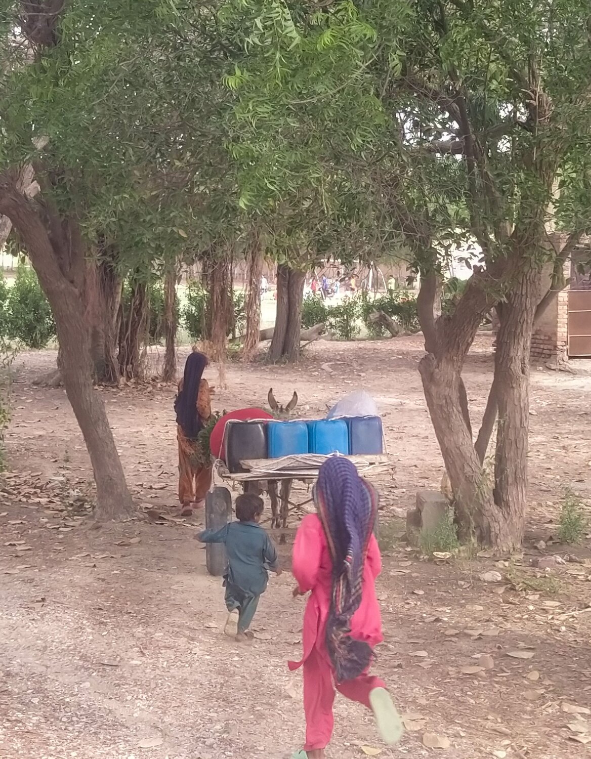 Following Mother Home