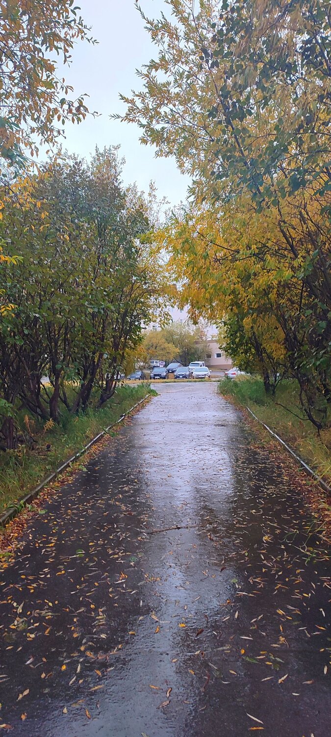 Фотография #14100789