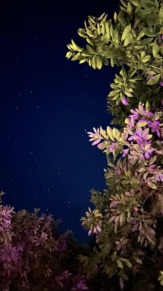 Photograph by Dmitriy Marchenko